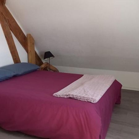Gite La Passerelle Apartman Ostheim Kültér fotó