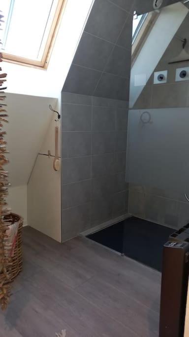 Gite La Passerelle Apartman Ostheim Kültér fotó