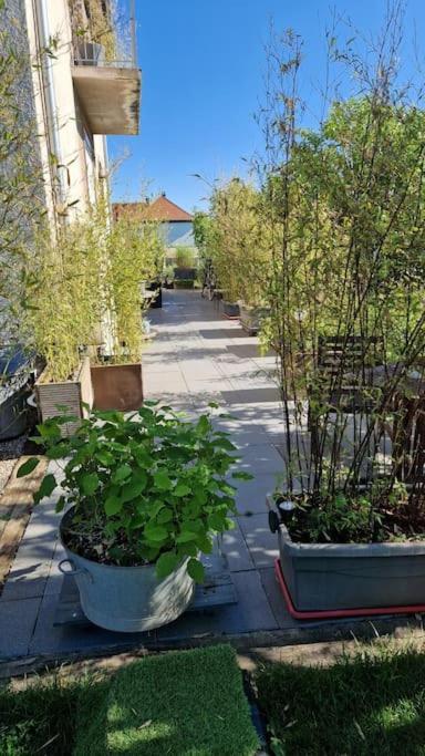 Gite La Passerelle Apartman Ostheim Kültér fotó